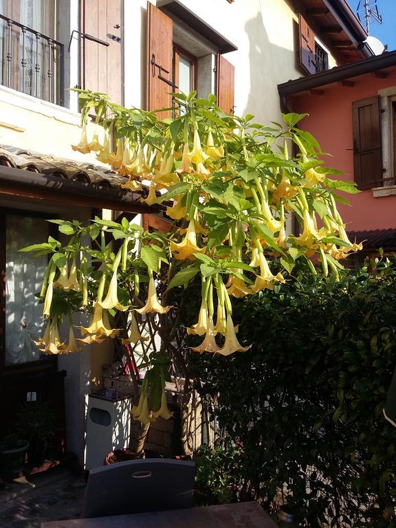 La Carbonara 6 Bed and Breakfast Bardolino Exteriör bild
